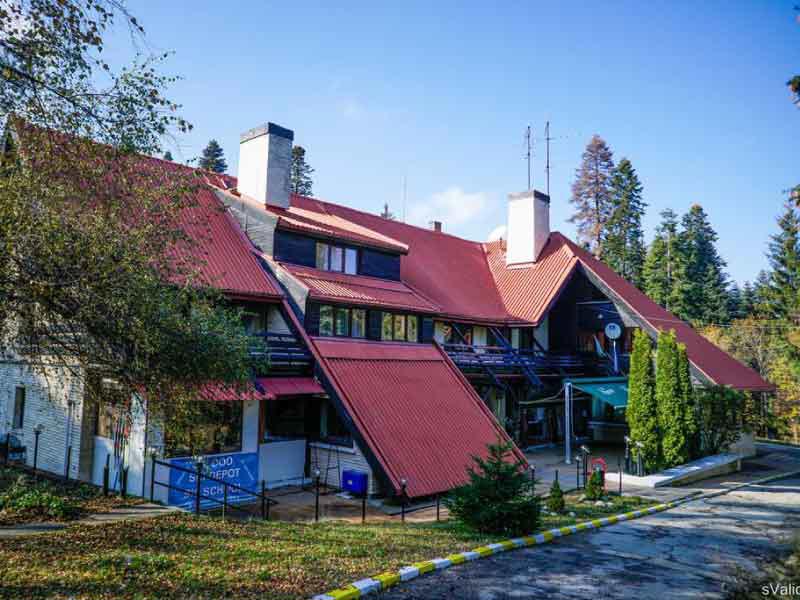 BREZA BOROVETS