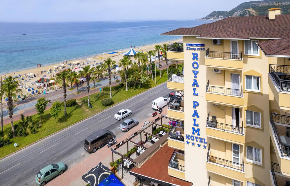 KLEOPATRA ROYAL PALM