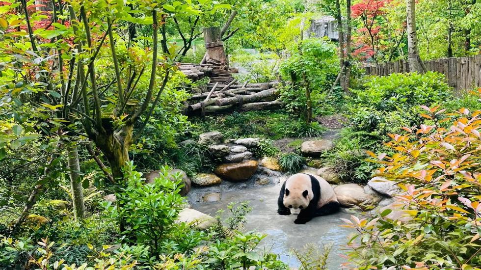 KINA IZMEDU TRADICIJE I BUDUCNOSTI